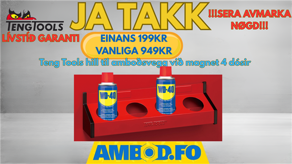 Teng Tools hill til amboðsvegg við magnet til 4 dósir