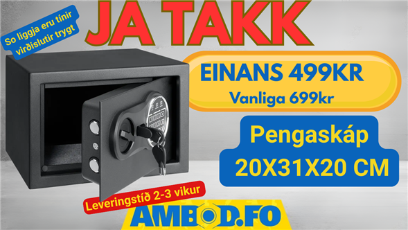 Pengaskáp  20 X 31 X 20 CMcm - EINANS 499KR Vanliga 699kr