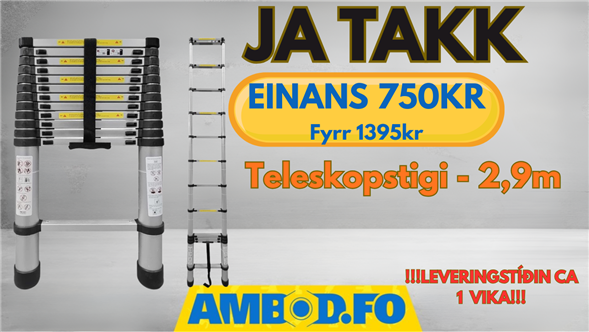 Teleskopstigi – 2,9m